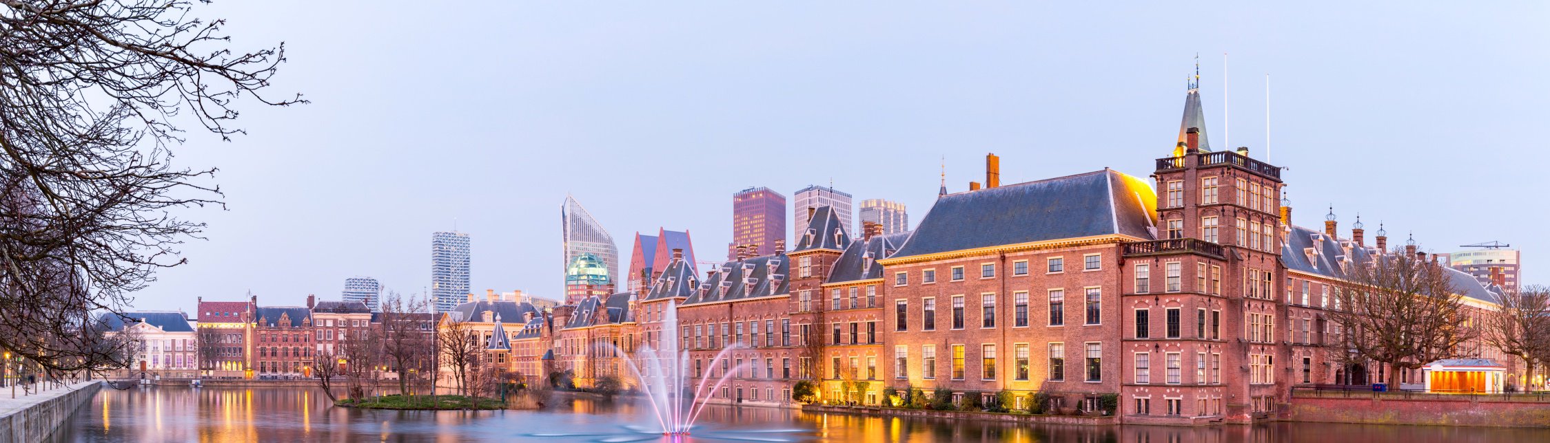 region The Hague color